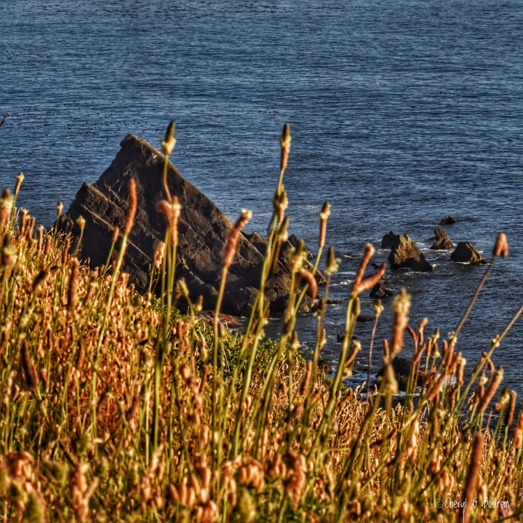 Rocky outcrops offshore and sloped hillside