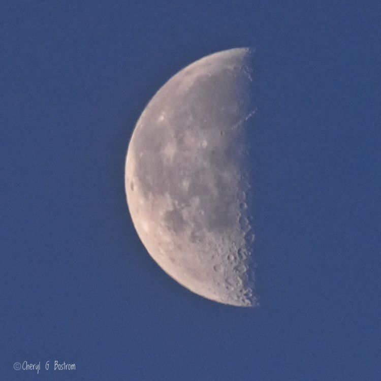 Third quarter moon in blue morning sky