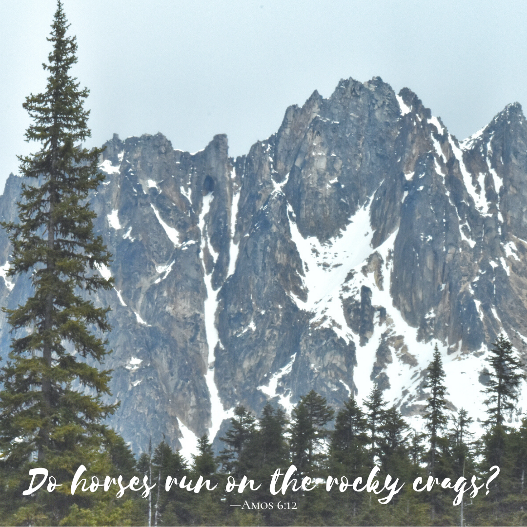 Do-horses-run-on-the-rocky-crags?